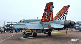 FA-18 Espagnol 0001  LERX NET.jpg